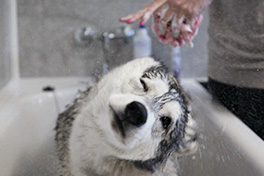challenge_img_3