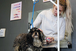 challenge_img_5